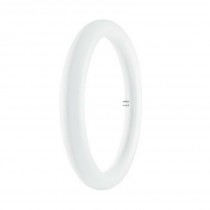 Circolare a led Osram 20W...