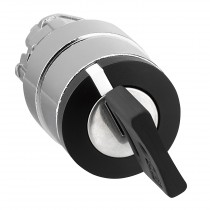 Testa Selettore a Chiave due posizioni con chiave N.451 Schneider ZB4BG2