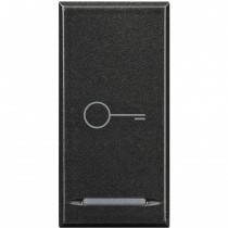 Copritasto 1 Funzione Simbolo 'Chiave' Serie Civili Bticino Axolute Scura HS4915BD