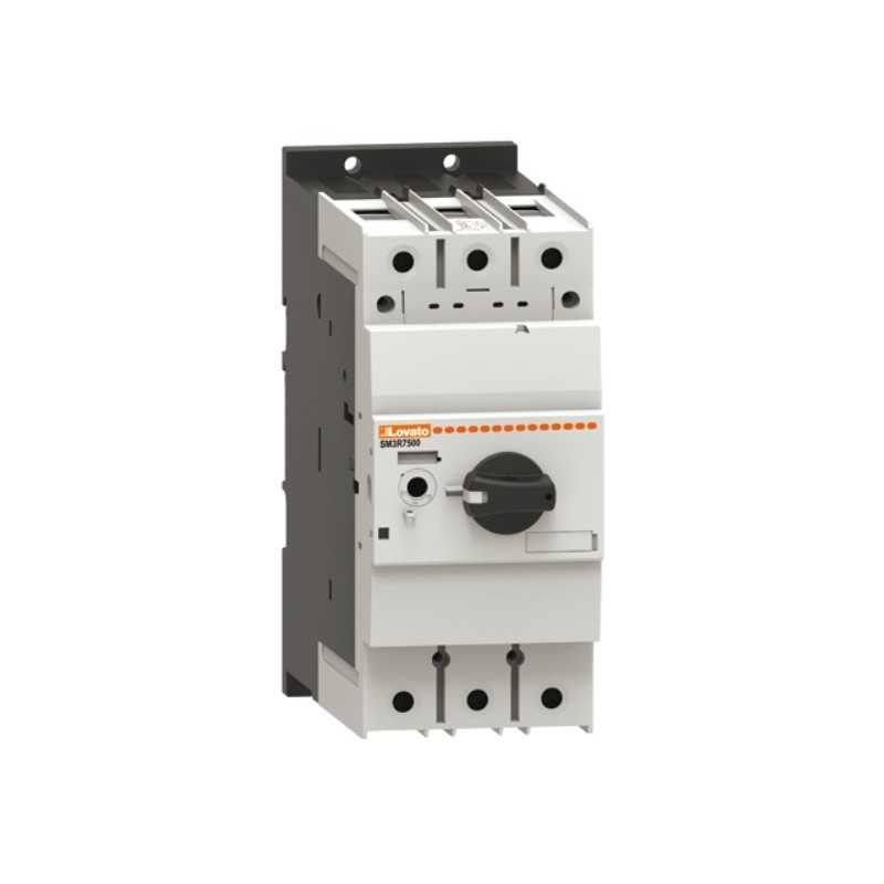 Salvamotore Lovato con regolazione termica 46...63A Lovato SM2R6300