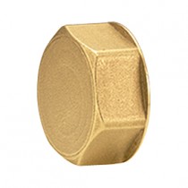 Tappo attacco femmina per collettori 2419 Giacomini R594Y002