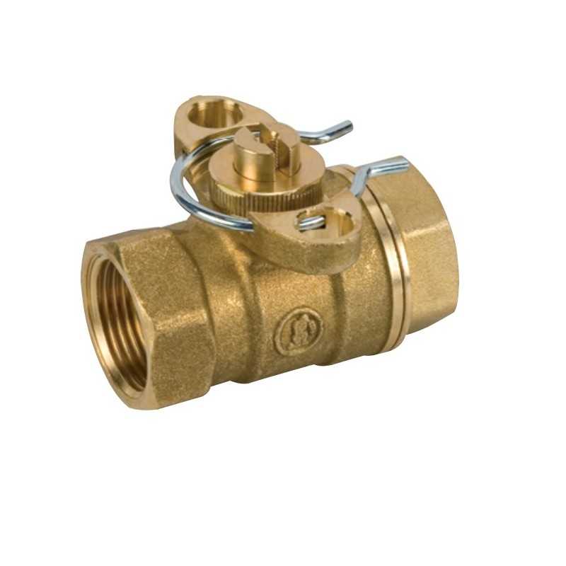 Valvola di zona a 2 Vie 1 Giacomini R276Y005