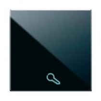 Tasto intercambiabile simbolo CHIAVE illuminabile 2 moduli 442TKP/2