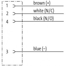 Schema elettrico Connettore M12 4 poli femmina 4x0.34mmq curva 90 gradi Murr Elektronik 7000123416141000
