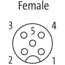 Struttura interna Connettore M12 5 poli femmina 5x0.34mmq curva 90 gradi Murr Elektronik 7000123616150500