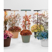 Poldina Reverso utilizzo