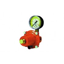 Regolatore di GPL per bombole attacchi F/F 1/4"x3/8" kg/h 10 Novacomet 421-641