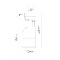 Beneito 4986 dimensioni