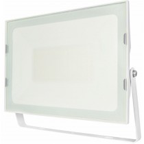 Proiettore da esterno 100W 4000K Luce naturale IP66 Compact Playled PVR100BN